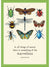 Bugs Birthday Card